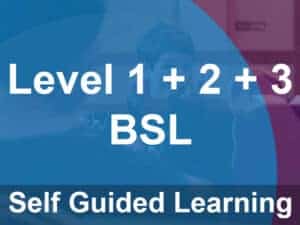 Bundle Level 1 + Level 2 + Level 3