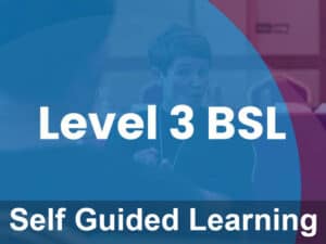 Level 3 British Sign Language (Self Guided Course)